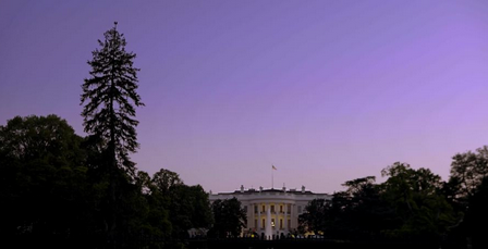 a picture of the white house at dusk